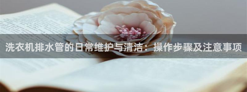 威九國際網(wǎng)站傳媒