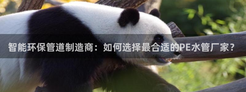 威九國際APP客服