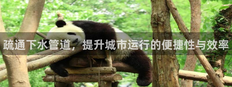 威九國(guó)際最近的視頻