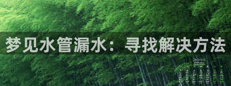 威九國(guó)際com