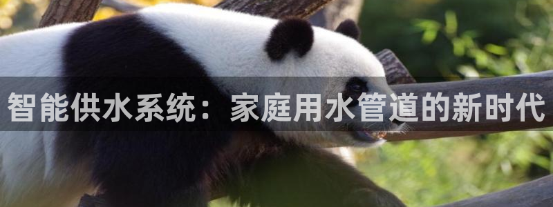 威九國際網(wǎng)站經(jīng)常打不開