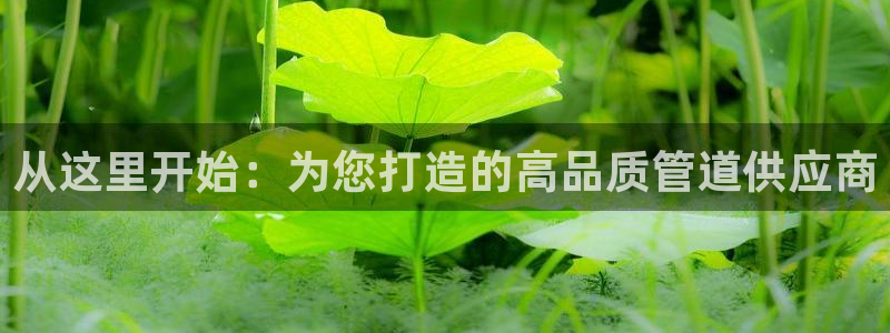 威九國(guó)際軟件公司簡(jiǎn)介