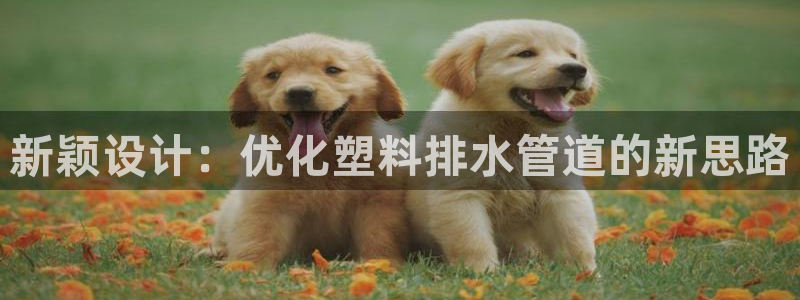 威九國(guó)際78