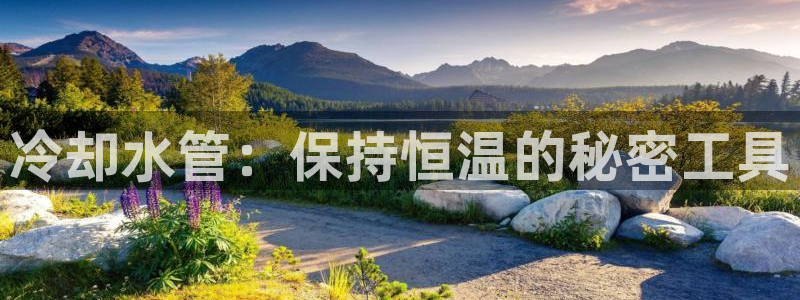 78mapp威九國(guó)際一