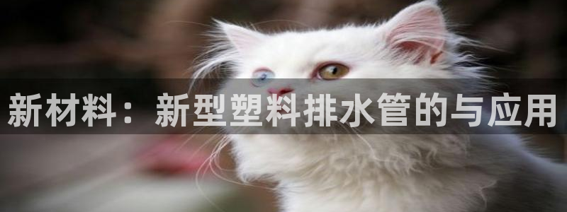 威九國(guó)際女藝人