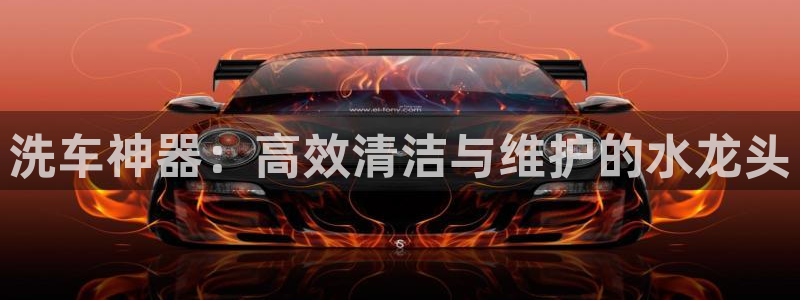 威九國際成長模式