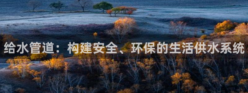 威九國際的金融服務(wù)有哪些