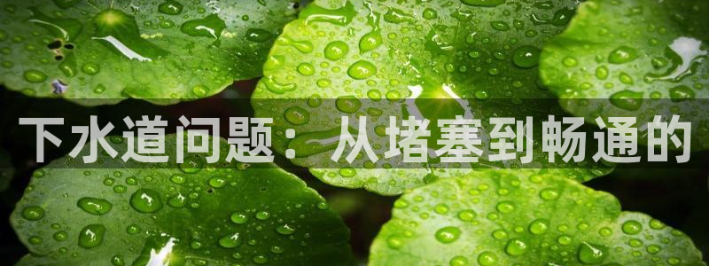 威九國際免費(fèi)