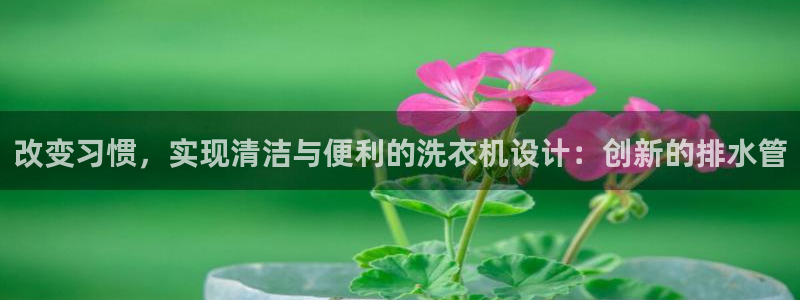 威九國際下載官網app