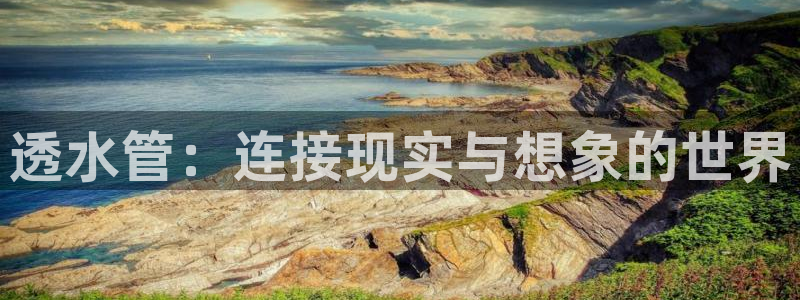 威九國際成長模式