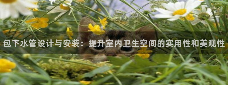 威九國(guó)際78