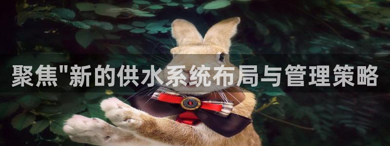 78mapp威九國際媒體央視