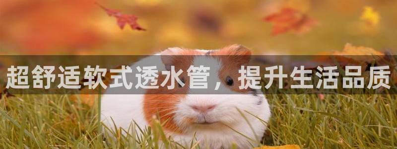 威九國際可以退錢嗎怎么退的