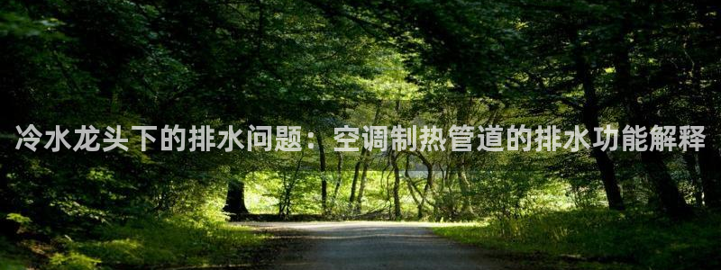 威九國際游戲網(wǎng)站