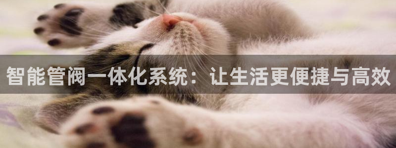 威九國際女藝人