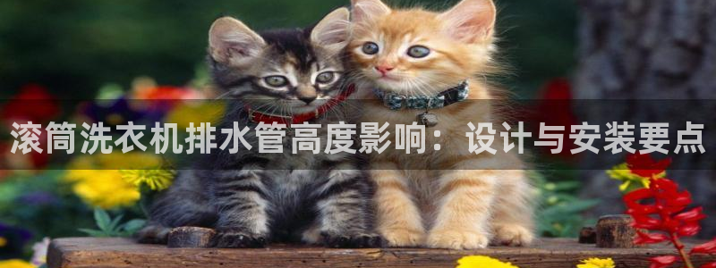 威九國際可以提現(xiàn)嗎