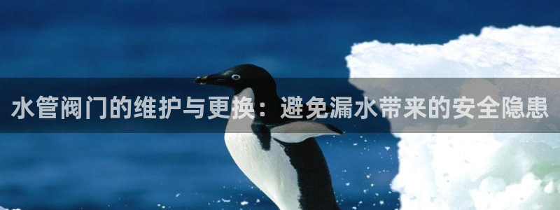 78mapp威九國際網(wǎng)