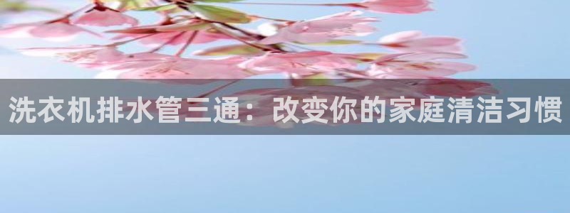 威九國際APP大全