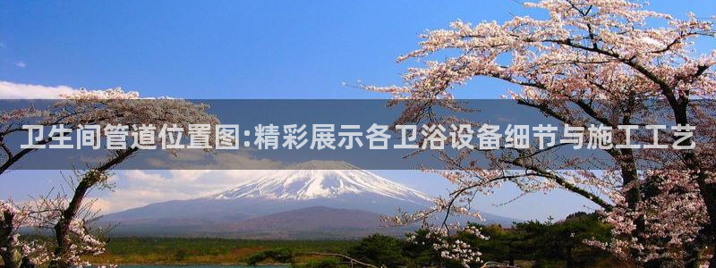 威九國(guó)際客服電話號(hào)碼查詢