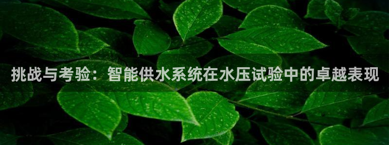 威九國(guó)際官網(wǎng)在線進(jìn)入網(wǎng)站查詢