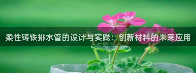 威九國(guó)際66m入口