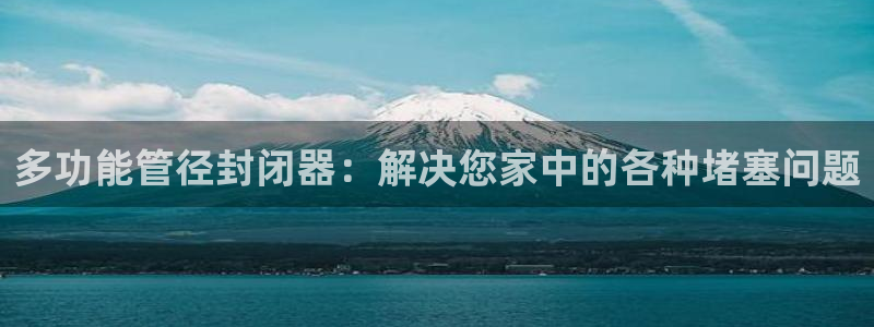 威九國際ppt免費(fèi)