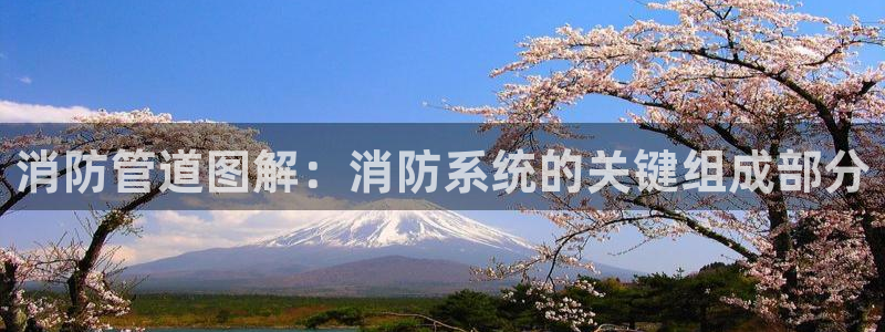 威九國際78mB官網(wǎng)版