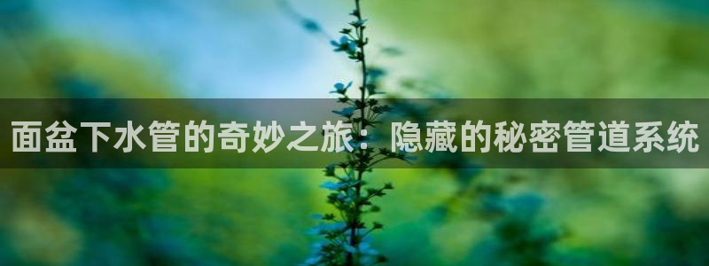 威九國(guó)際網(wǎng)站客服電話(huà)多少號(hào)