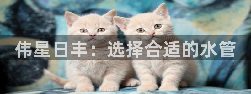 威九國際78m域名