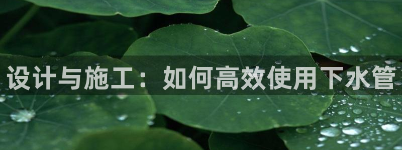 威九國際狂飚電影