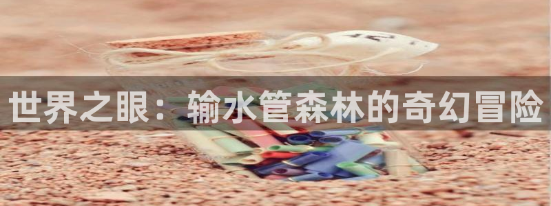 威九國際網(wǎng)站客服電話多少號