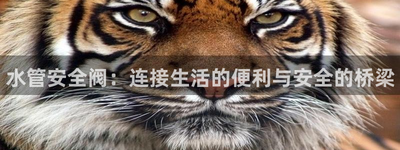 威九國際網(wǎng)站進(jìn)入產(chǎn)品分類