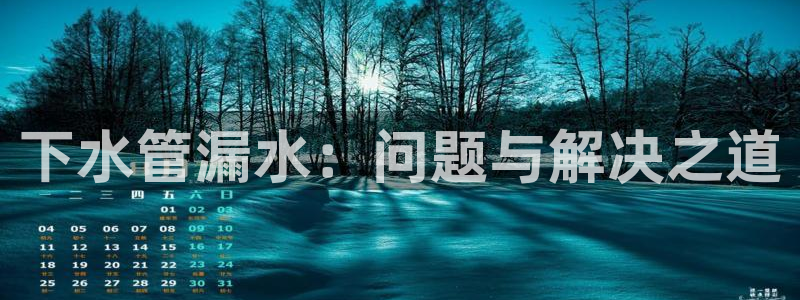 威九國(guó)際女藝人